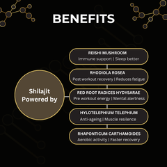 Bodybuilding Supplement Energy Booster. Muscle Strength & Stamina with Shaljit, Rhodiola, Reishi Mushroom. 20g