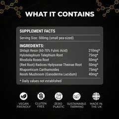 Bodybuilding Supplement Energy Booster. Muscle Strength & Stamina with Shaljit, Rhodiola, Reishi Mushroom. 20g